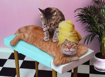 Don Dennis Massage